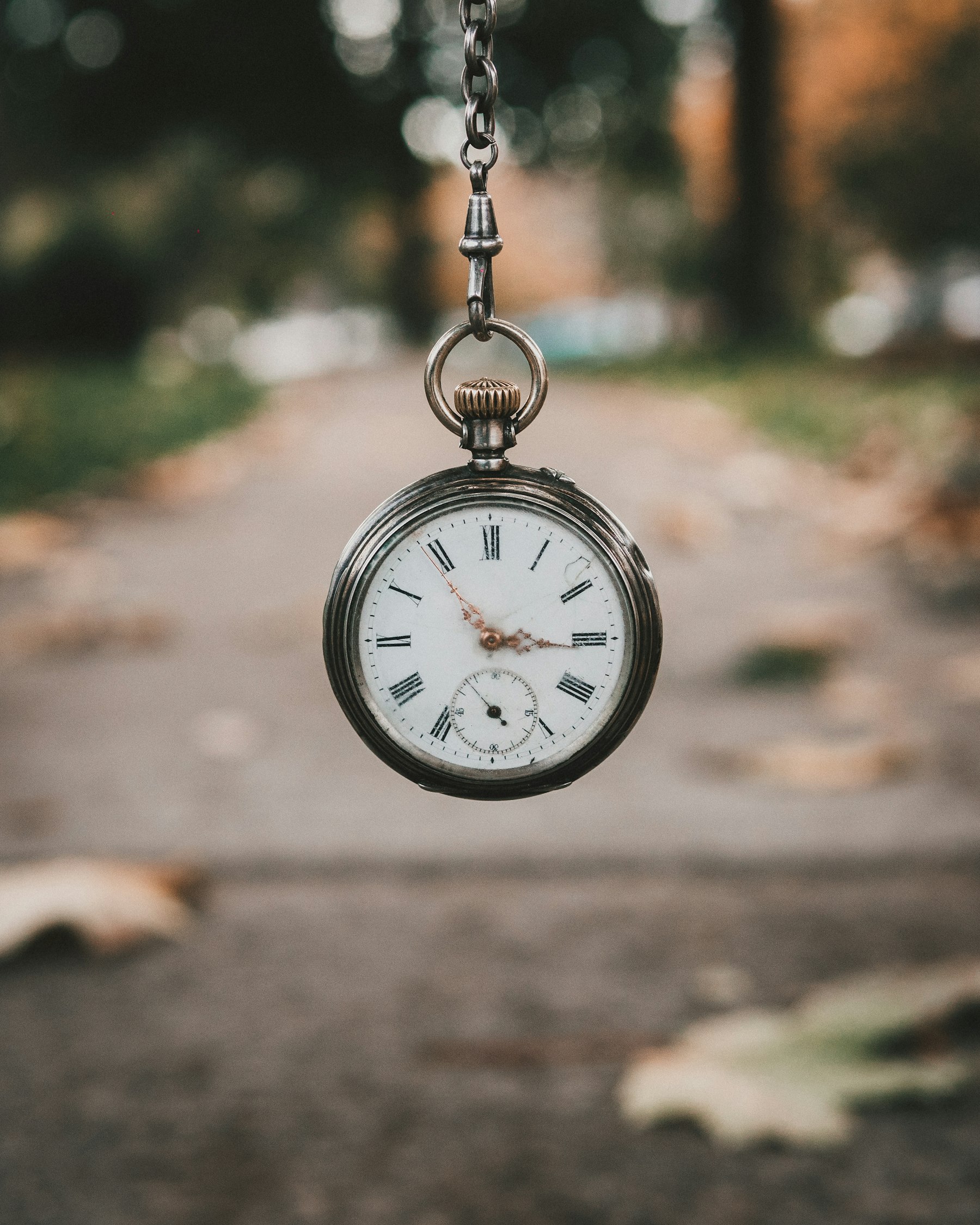 Mouvement de montre démonté sur établi